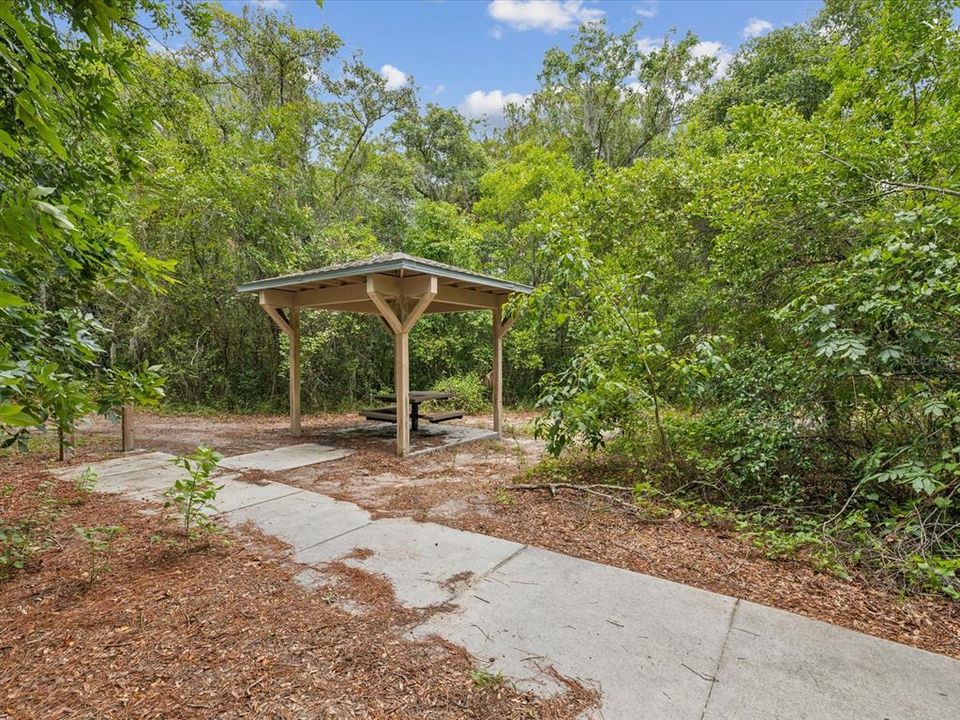 View of the nature path that takes you out to an observation dock looking at the Anclote River