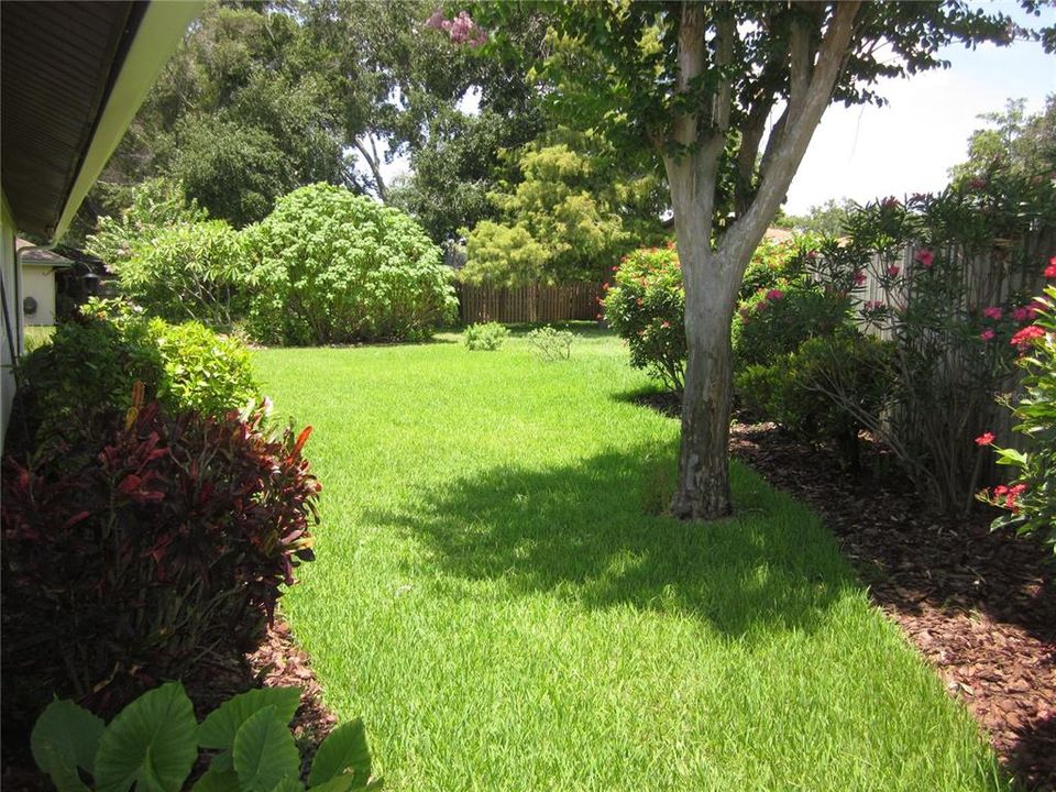 Nicely landscaped back yard