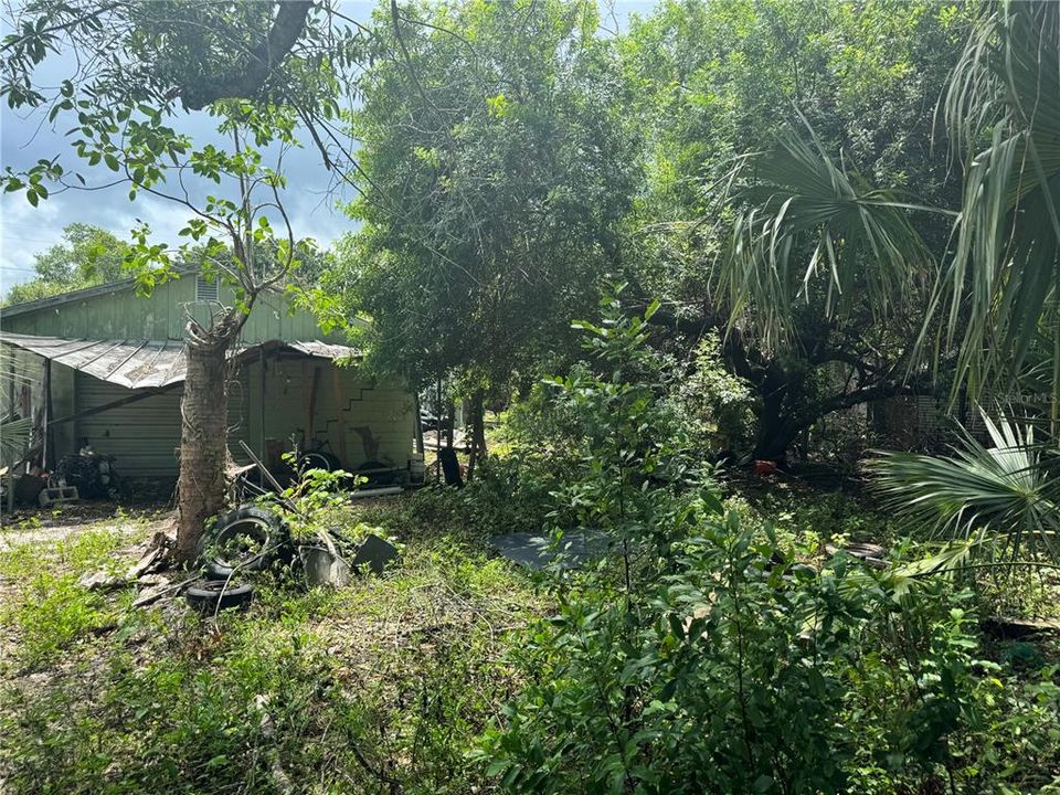 Back Yard in between both properties