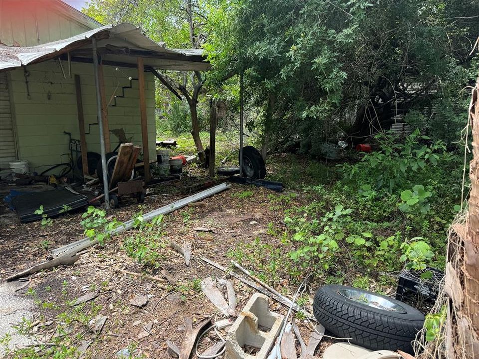 Back Yard in between both houses