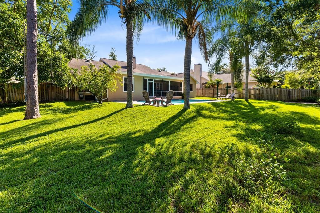 Incredible yard with Avacado trees, Lime trees, mango trees, starfruit, and so much more!