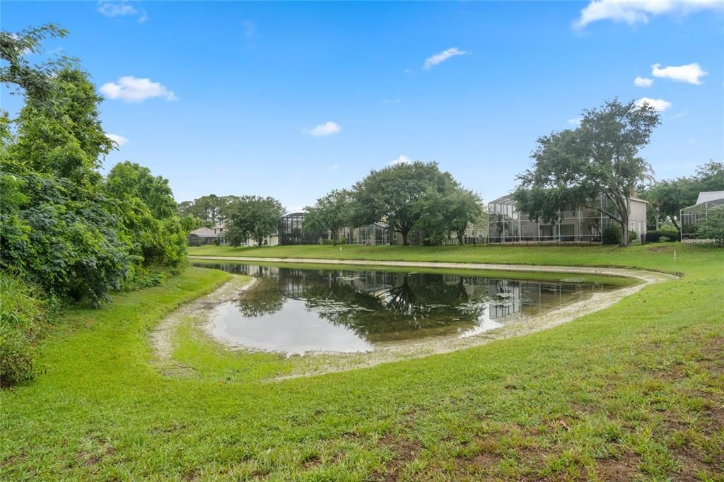 Nice Pond for relaxing