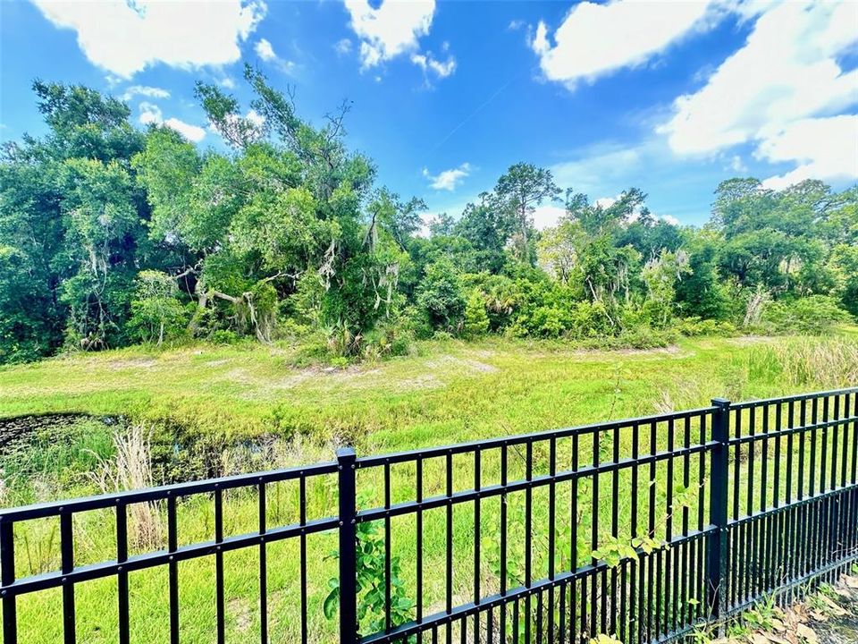 Fenced Backyard