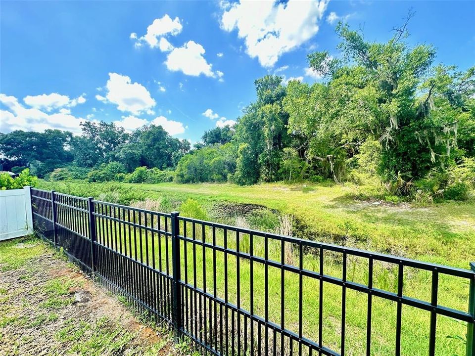 Fenced Backyard