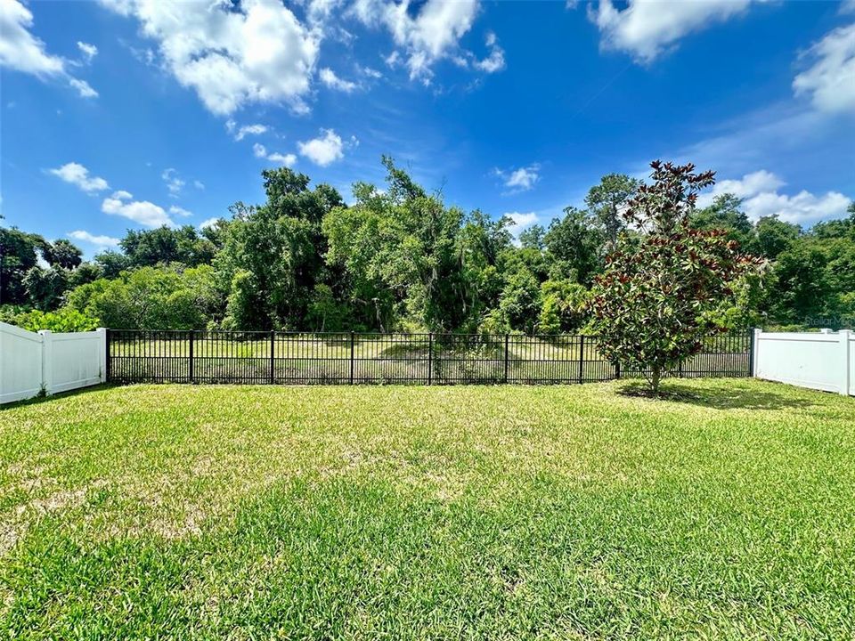 Fenced Backyard