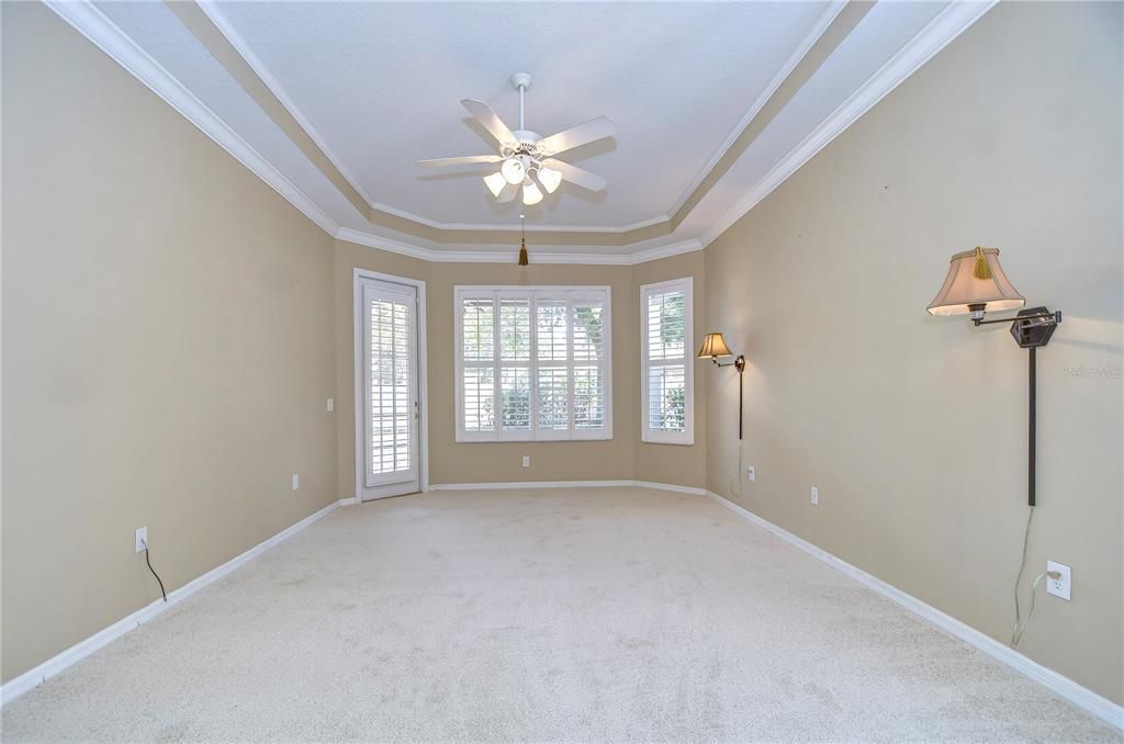 Tray ceiling and crown molding!