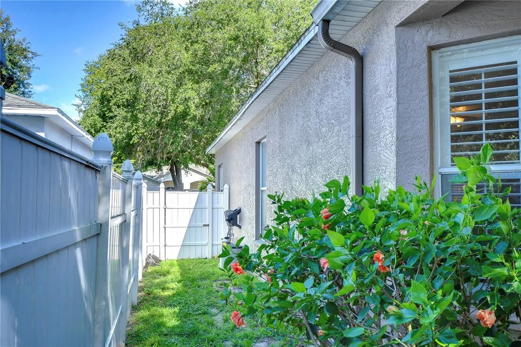 Side yard with gate!