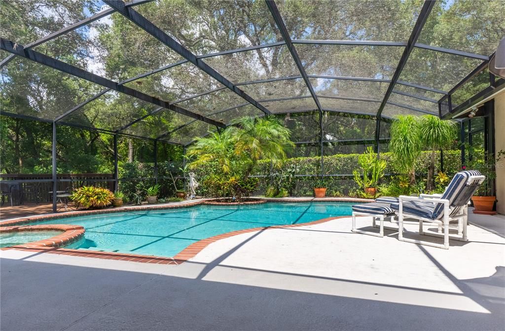 Pool & Extended Patio