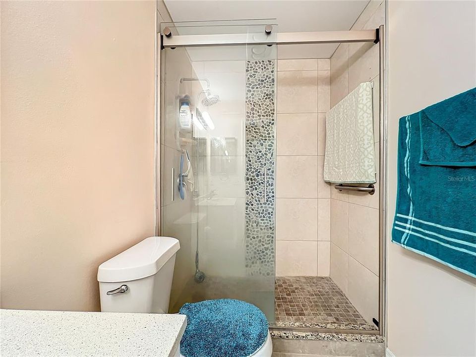 Another view of the guest bathroom shower.