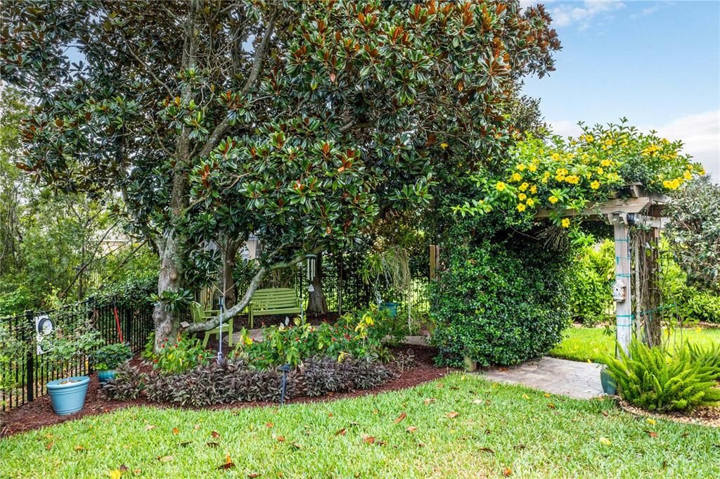 Backyard Paver Patio and Arbor