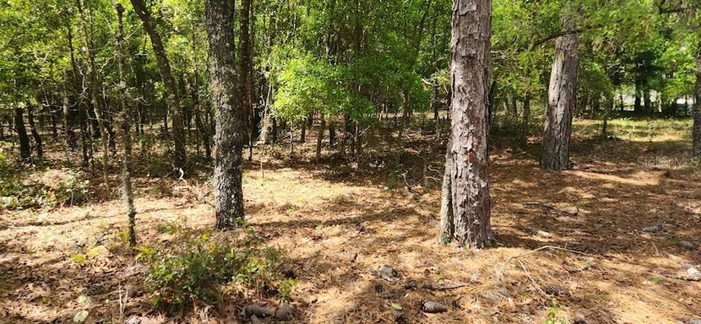 Active With Contract: $64,500 (1.03 acres)
