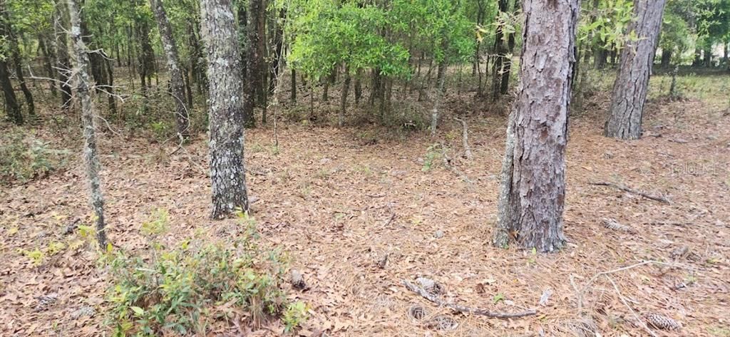 Active With Contract: $64,500 (1.03 acres)