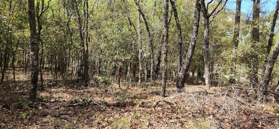 Active With Contract: $64,500 (1.03 acres)