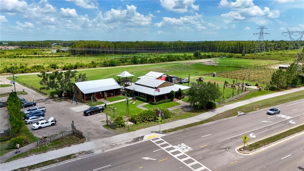 Longleaf walking trails