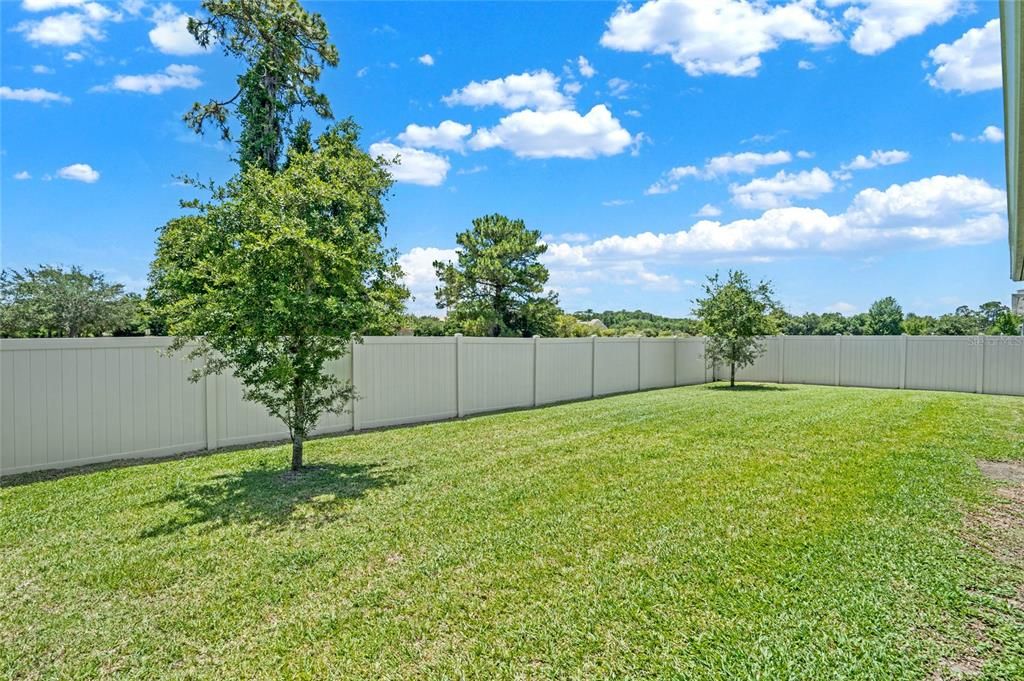 FULLY FENCED BACKYARD.