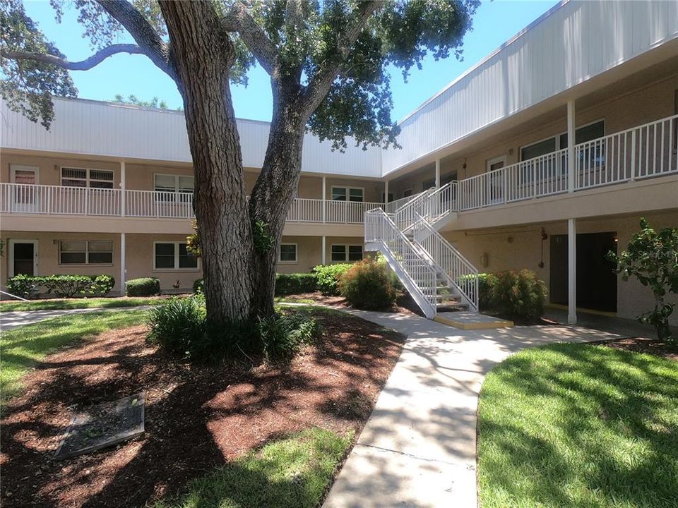 Layout and living room from entrance