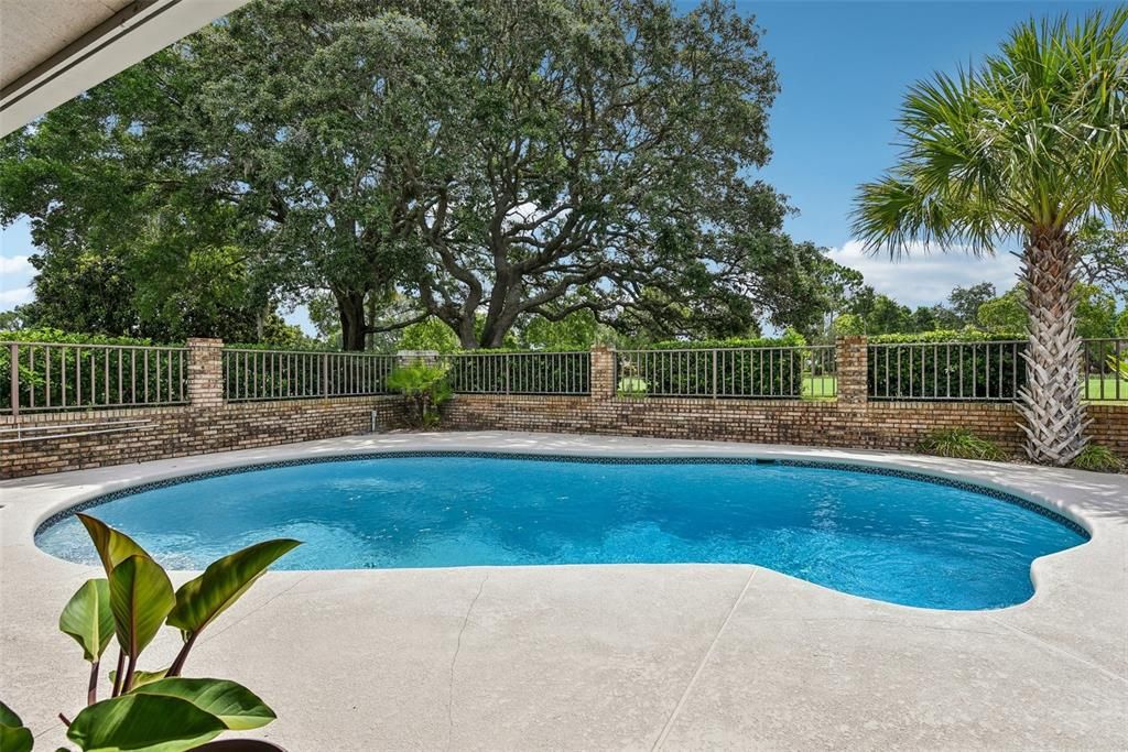 HUGE POOL and Entertainment space