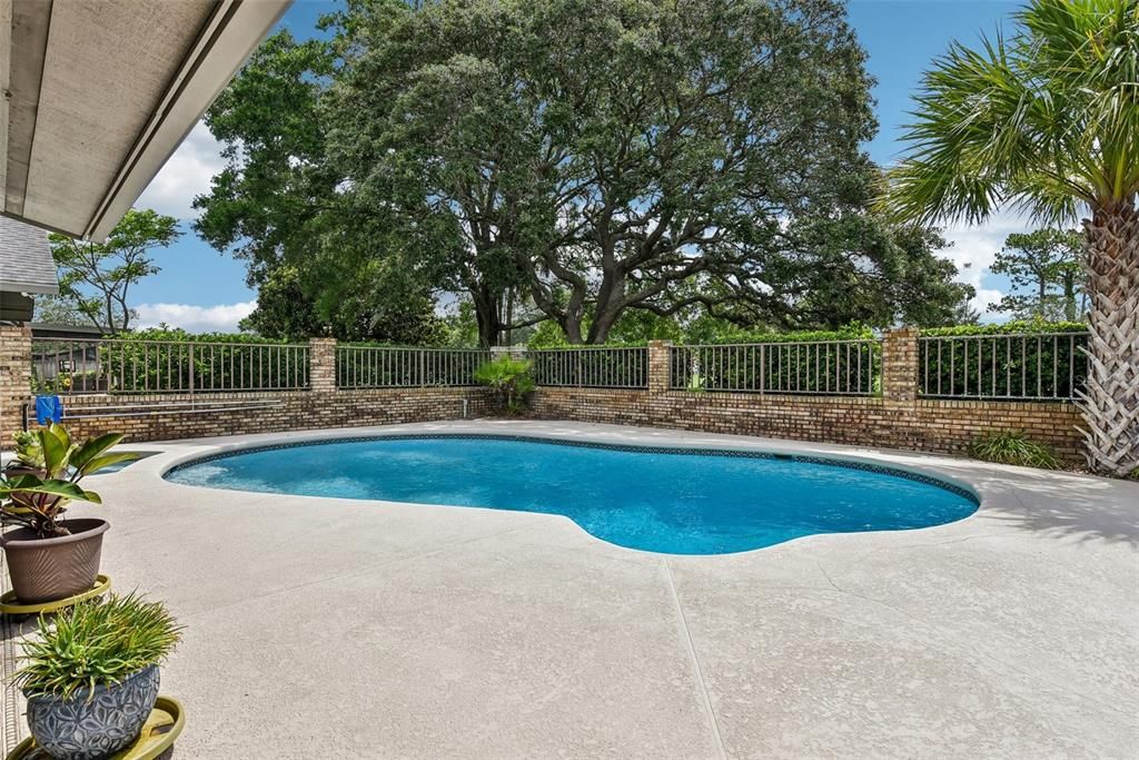 HUGE POOL and Entertainment space