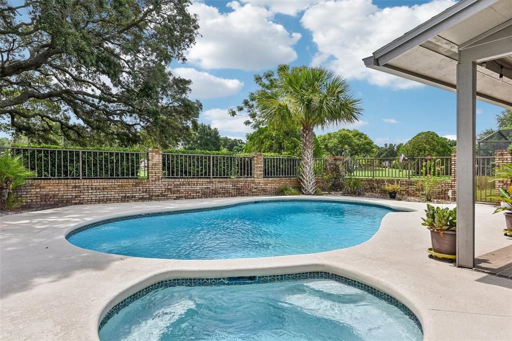 HUGE POOL and Entertainment space