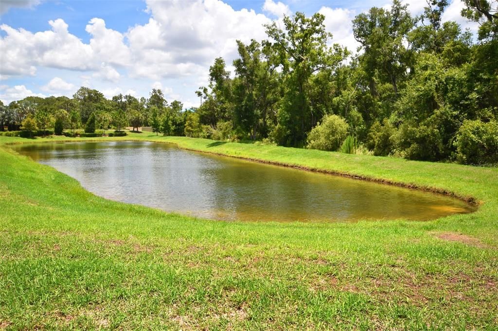 Full pond view from Lanai