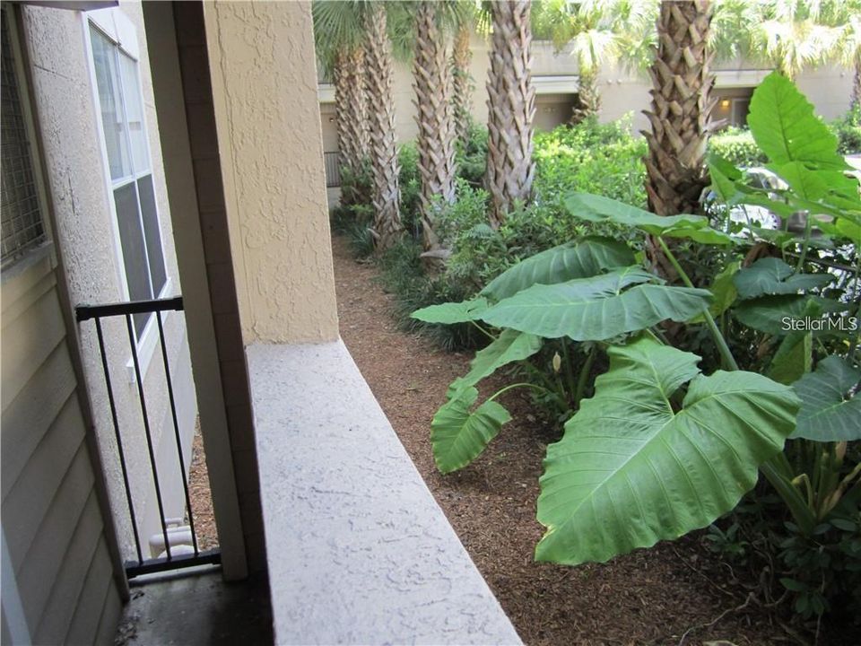 Covered Patio (old photo)