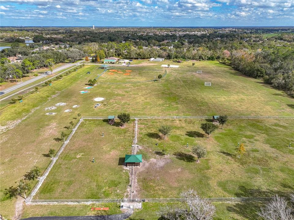 Walden Lake Dog Parks