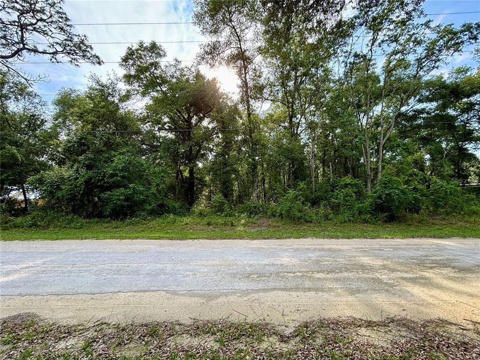 For Sale: $50,000 (1.42 acres)