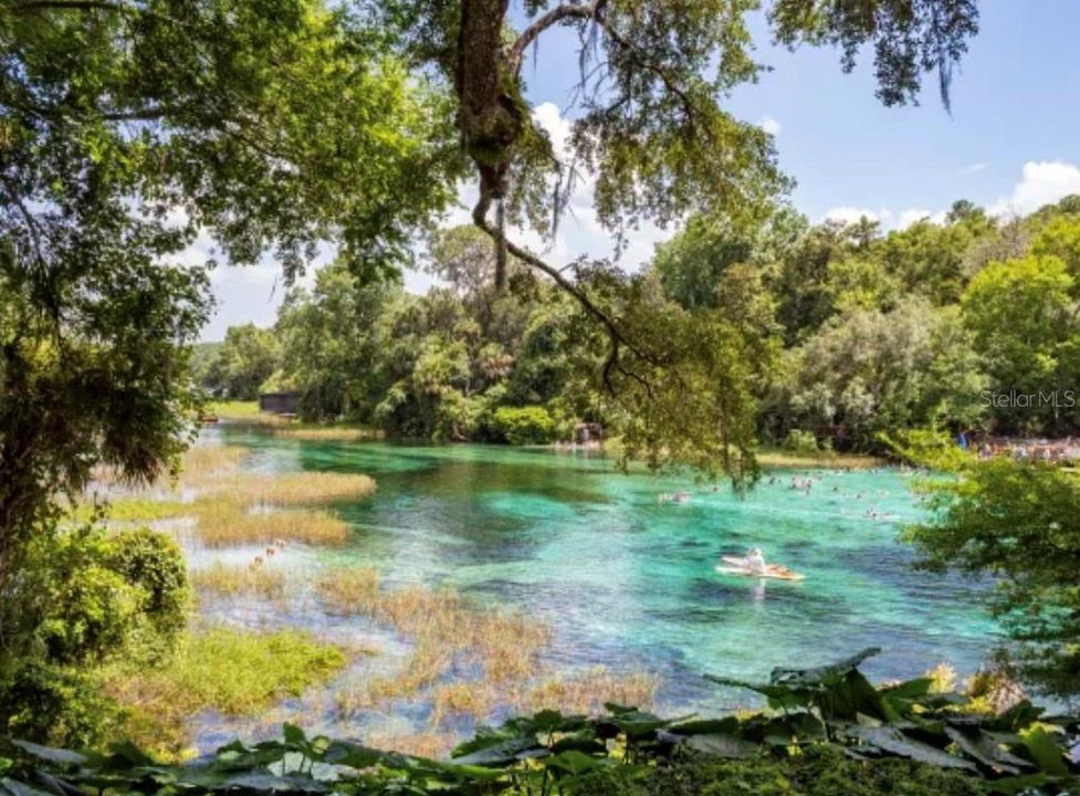 Local Springs in the area