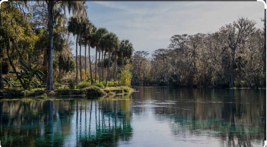 Local Springs in the area