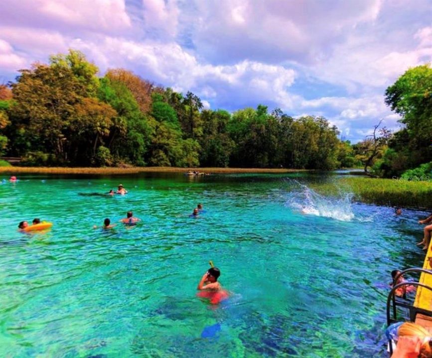 Local Springs in the area