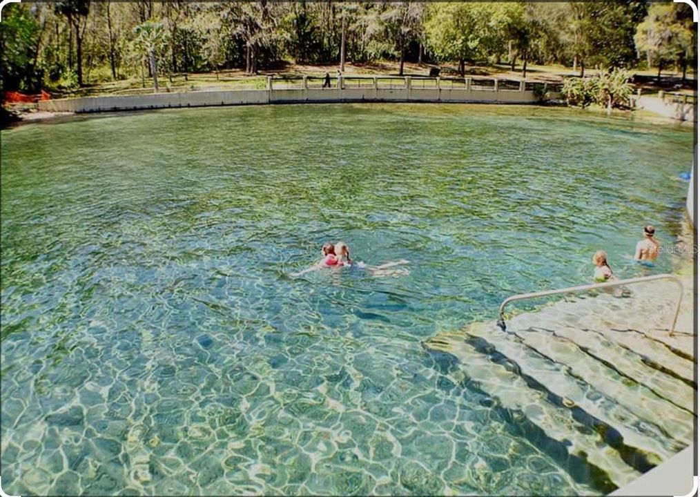 Local Springs in the area