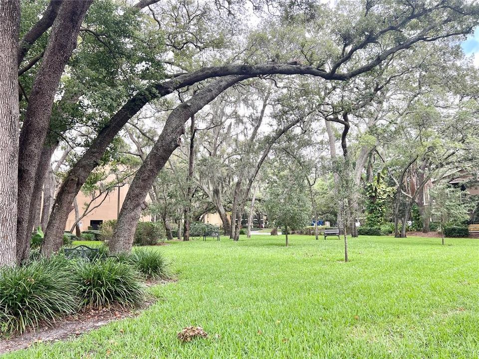 Community Sitting Area