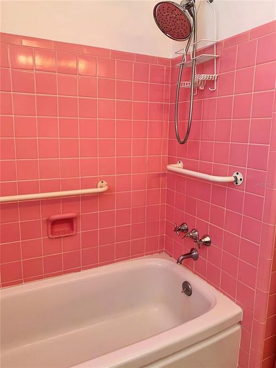 Tile and Tub in Great Condition