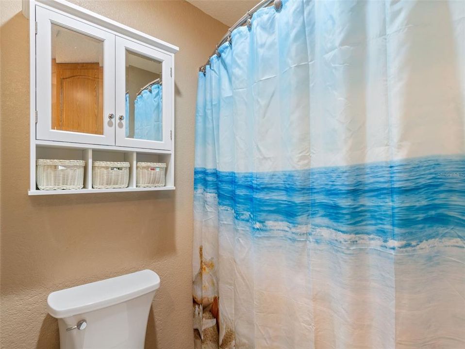 Guest Bath with tub shower combo