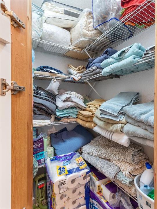 Guest Bath with walk-in linen closet