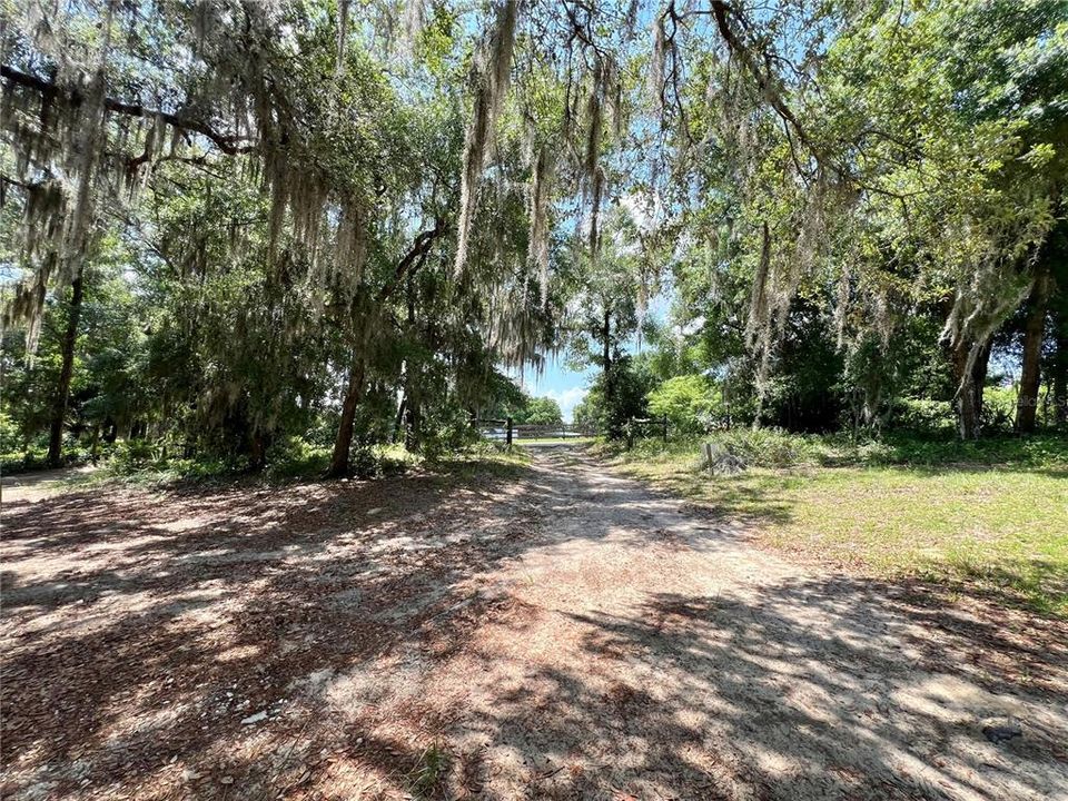 Natural Driveway