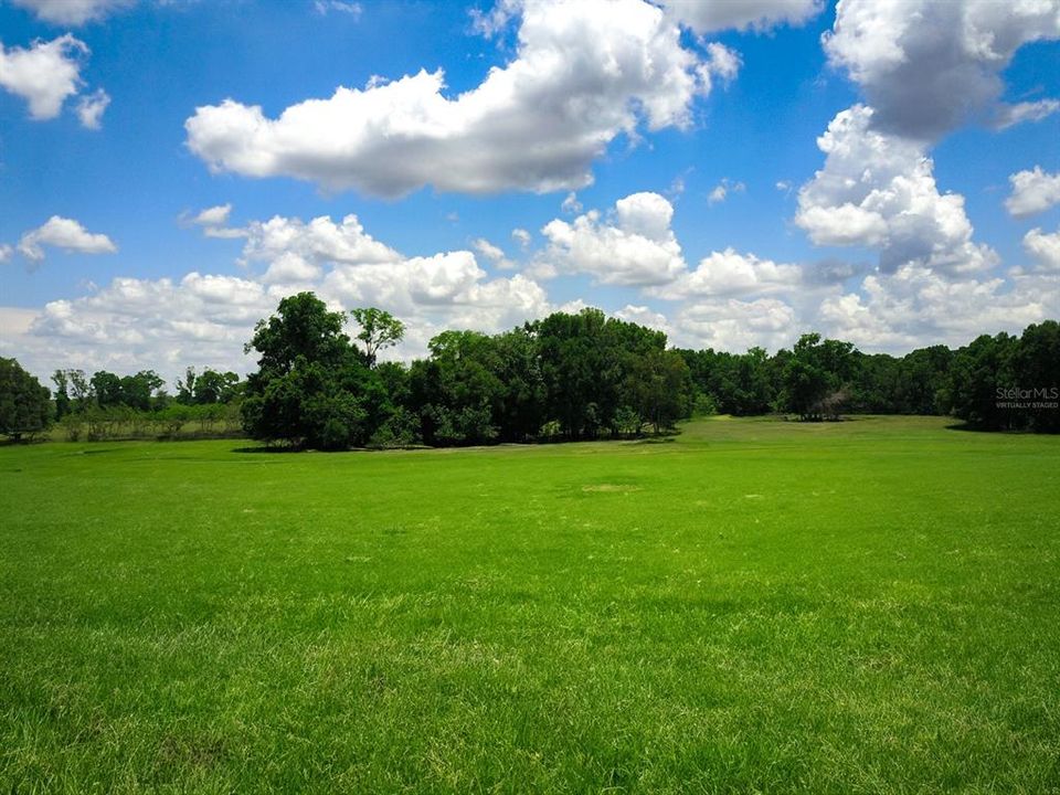 For Sale: $954,900 (31.83 acres)