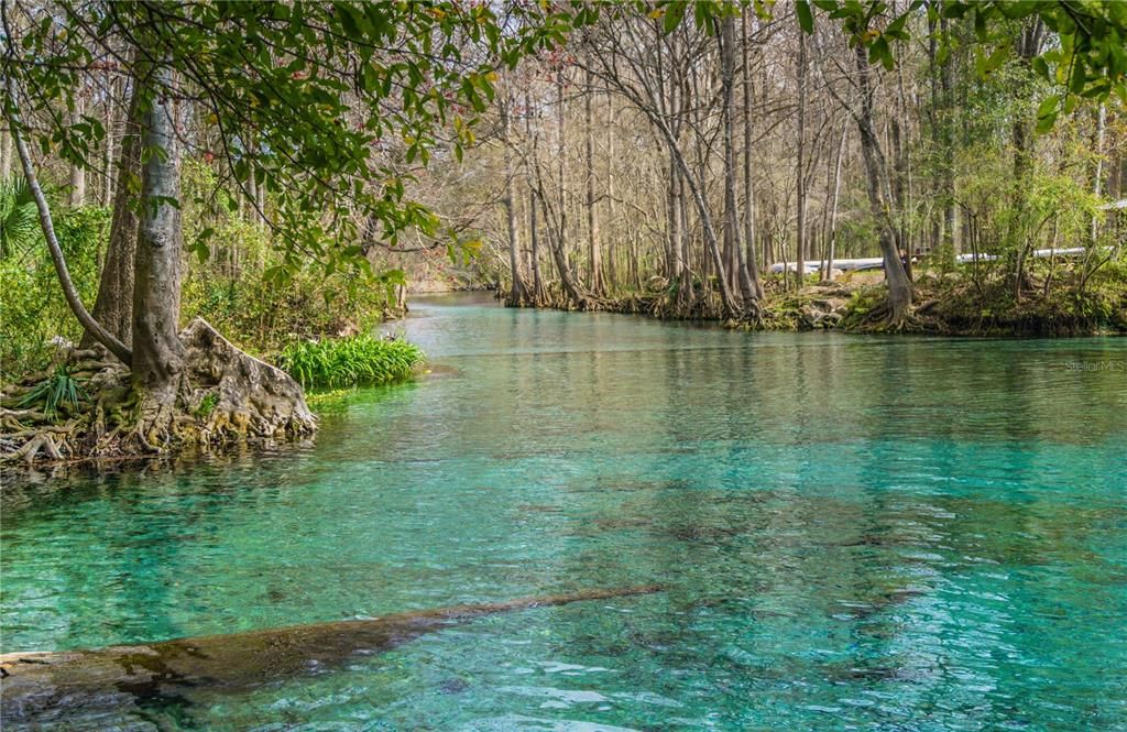 Ginnie Springs