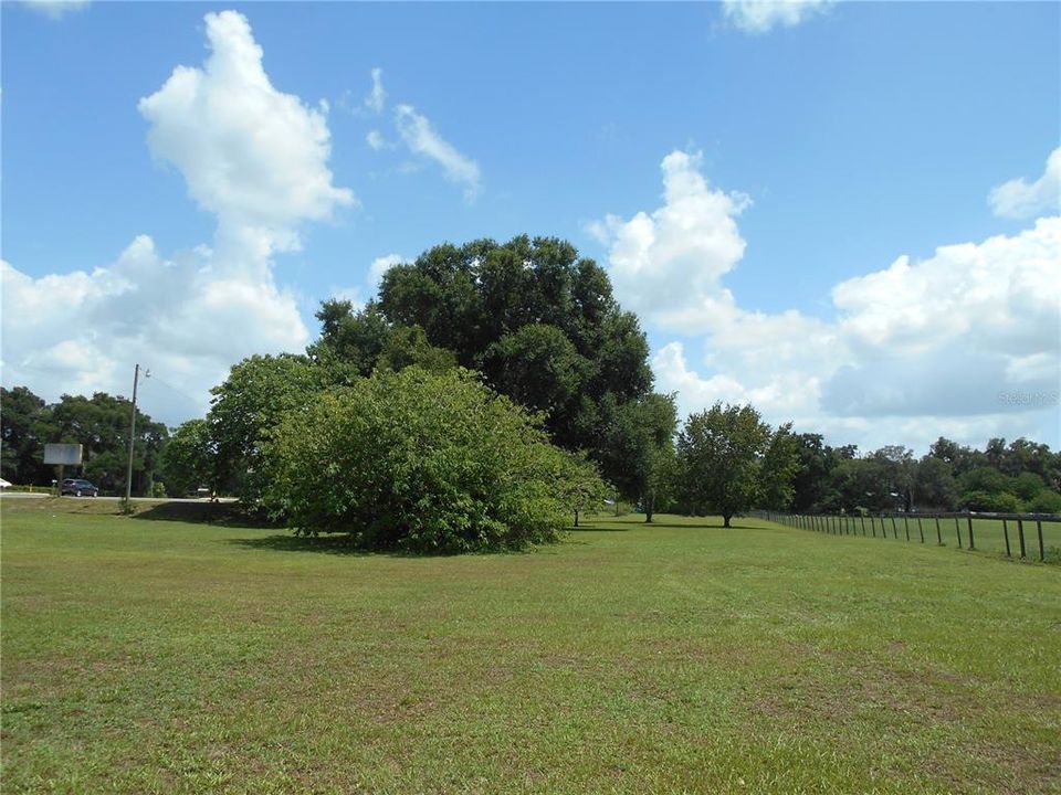 This is the land facing South of home.  There is one full ACRE.