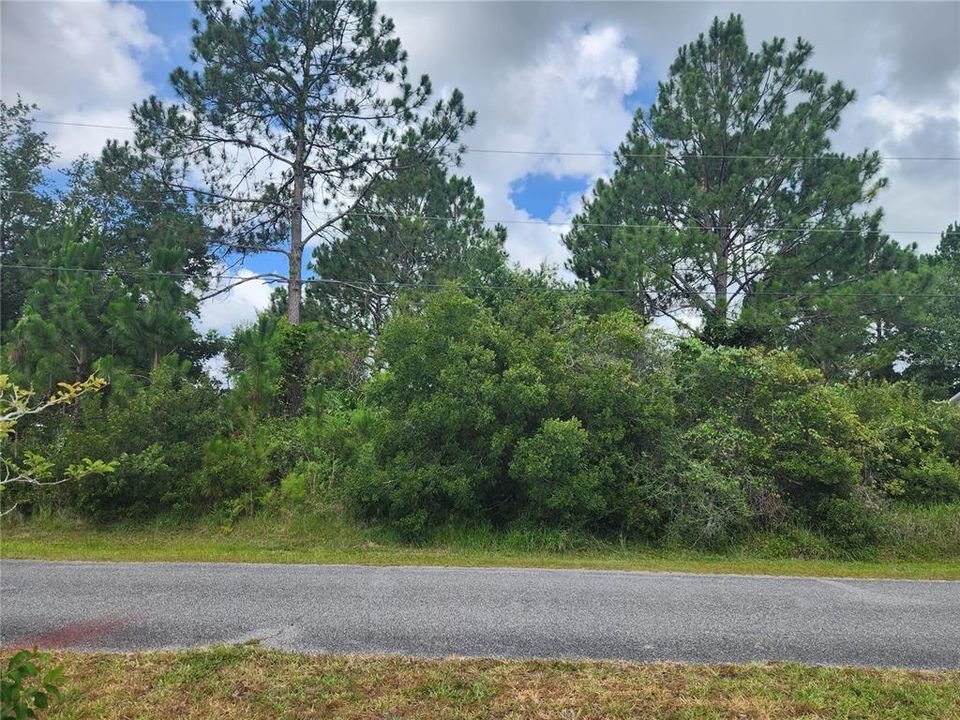Active With Contract: $69,000 (0.23 acres)