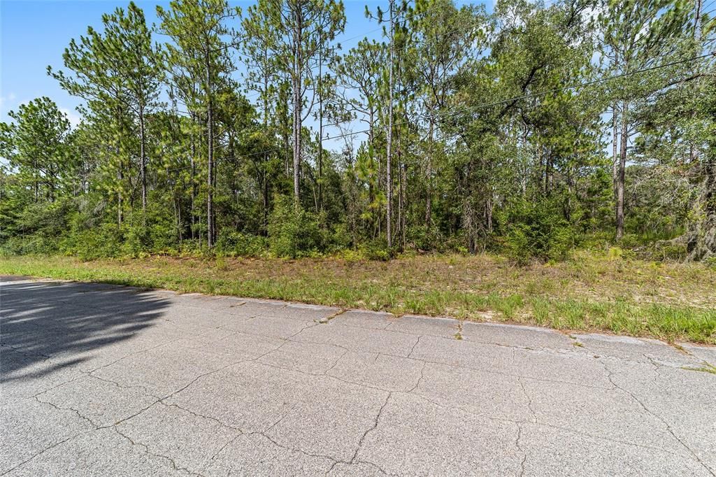 For Sale: $59,900 (1.12 acres)