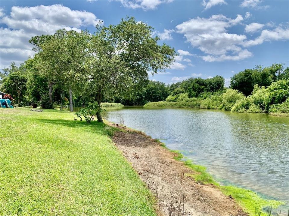 Pond front