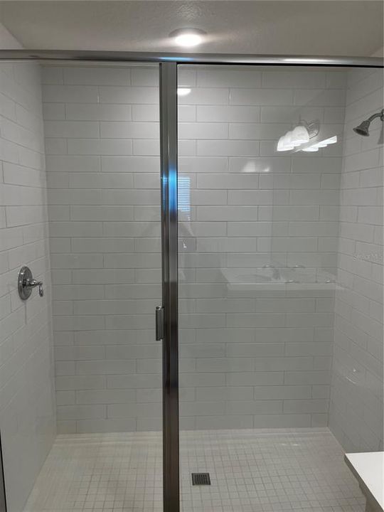 Primary Bathroom Shower