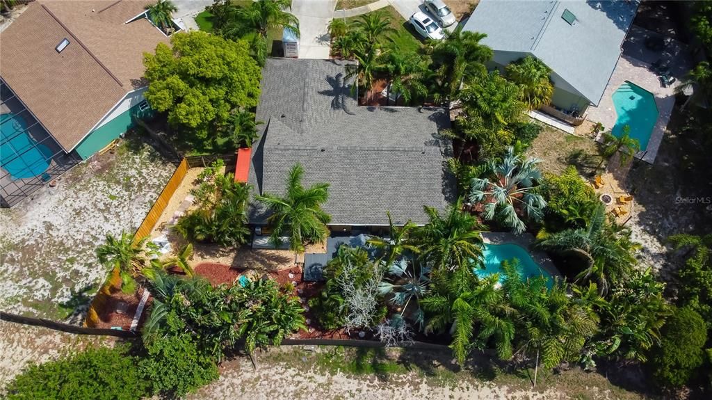 Look at the Tropical Paradise this Home has to keep it shady in all the right places!