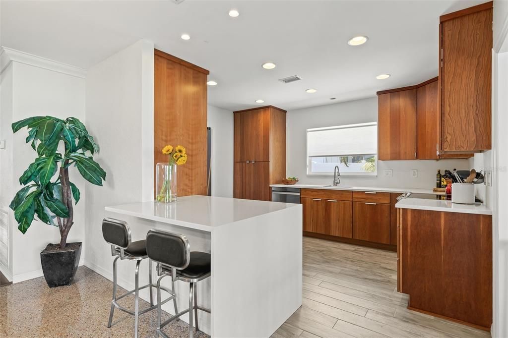 Fully Remodeled Kitchen