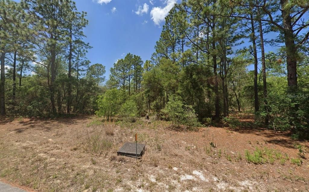 For Sale: $19,900 (0.25 acres)