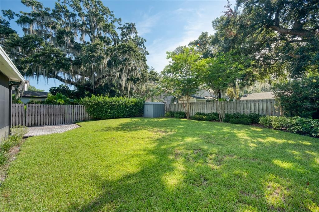 Spacious backyard!