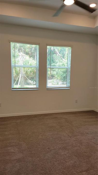 main bedroom with tray ceiling and 2 windows