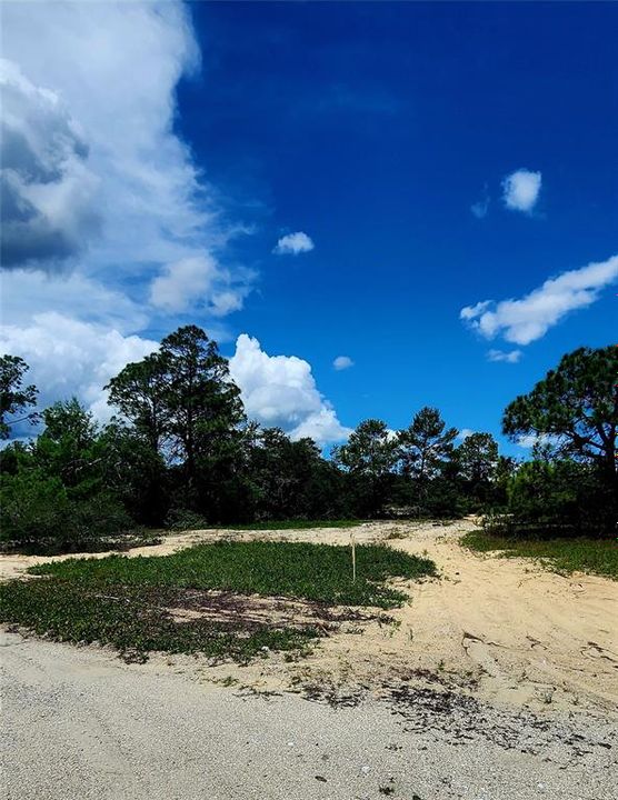 En Venta: $16,000 (0.22 acres)