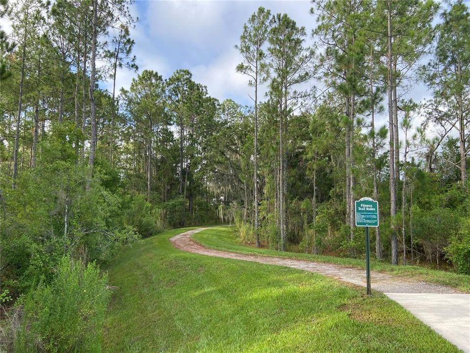 Walking Trail